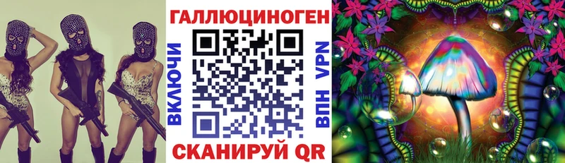 OMG зеркало  Тарко-Сале  Галлюциногенные грибы Psilocybe 